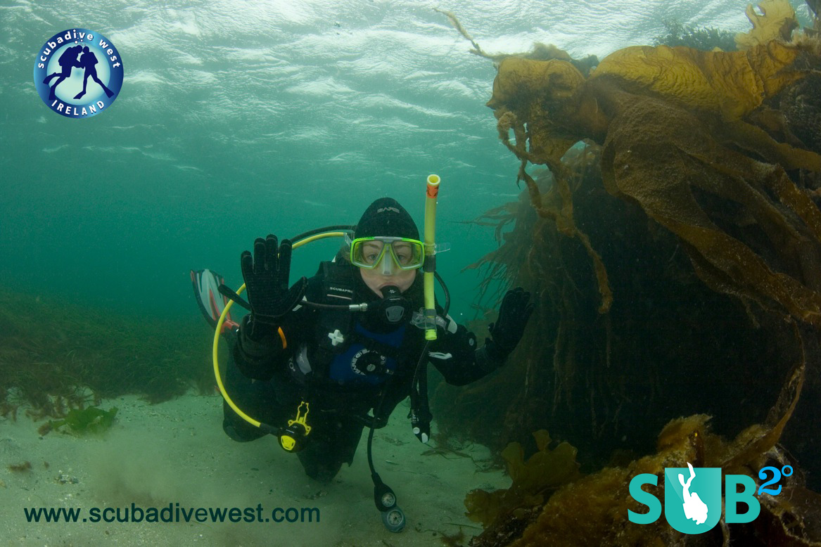 Introducing children to the world of diving is a rewarding experience for all