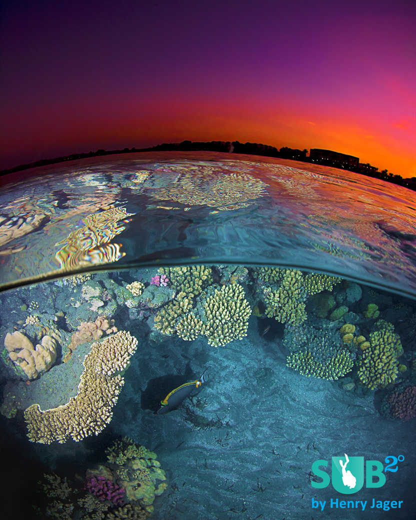红色的天空与蓝色的水结合：在埃及红海的五颜六色珊瑚礁日落之后不久。