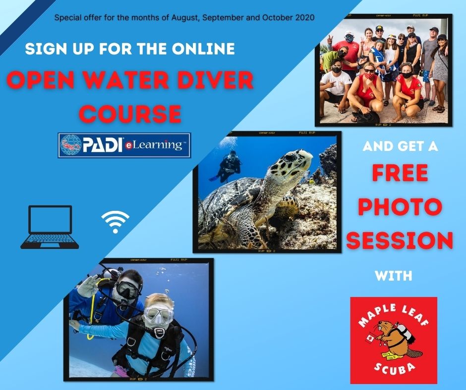 LIMITED TIME OFFER ! During the months of August, September and October, sign-up for the PADI E-Learning Open Water Diver course and get a FREE professional underwater photoshoot!!   Tell a bigger story with Maple Leaf Scuba! Contact us at info@mapleleafscuba.com for more information