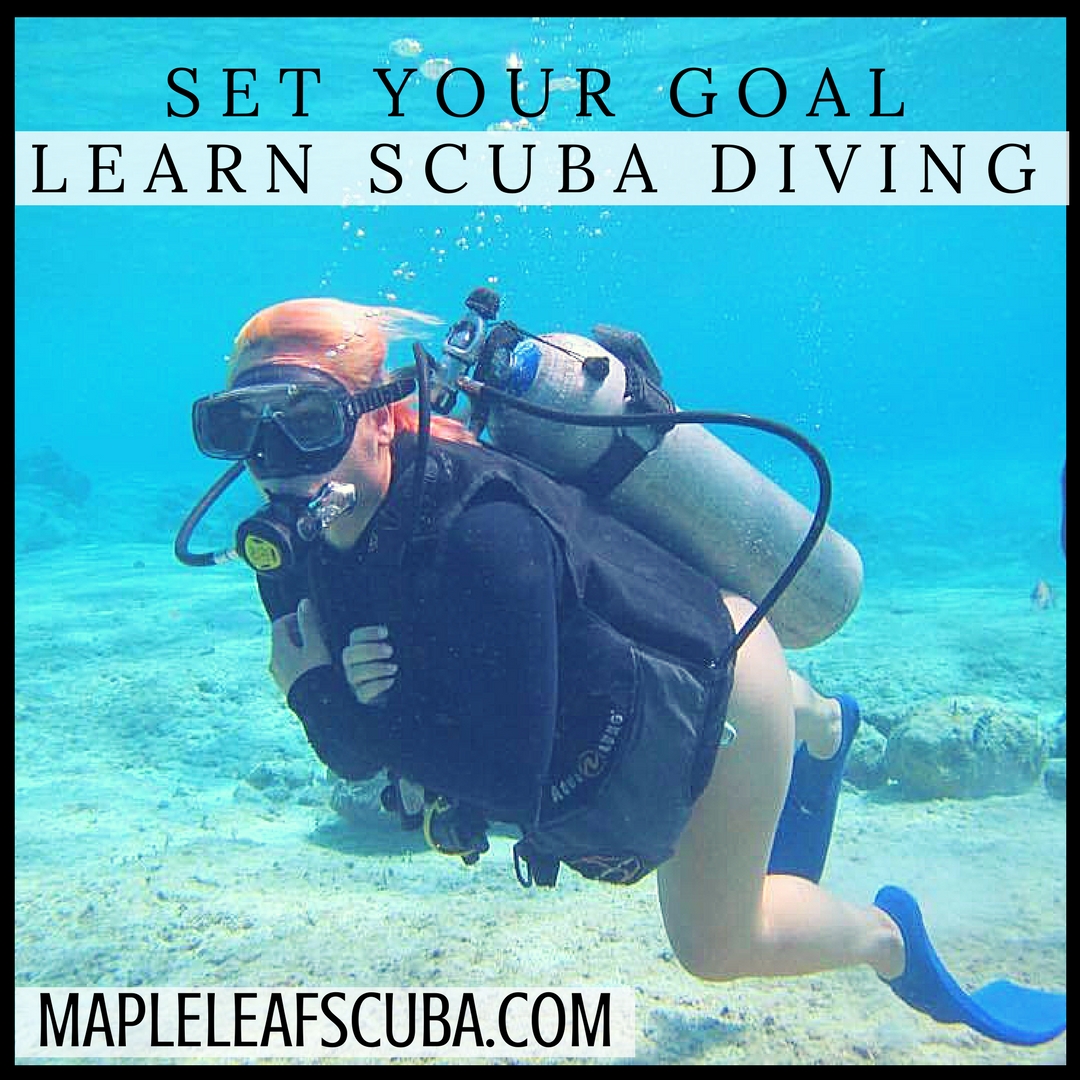 It’s almost the second month of 2018. Did you set any goals for this year? How about learning to scuba dive? Mapleleafscuba.com info@mapleleafscuba.com