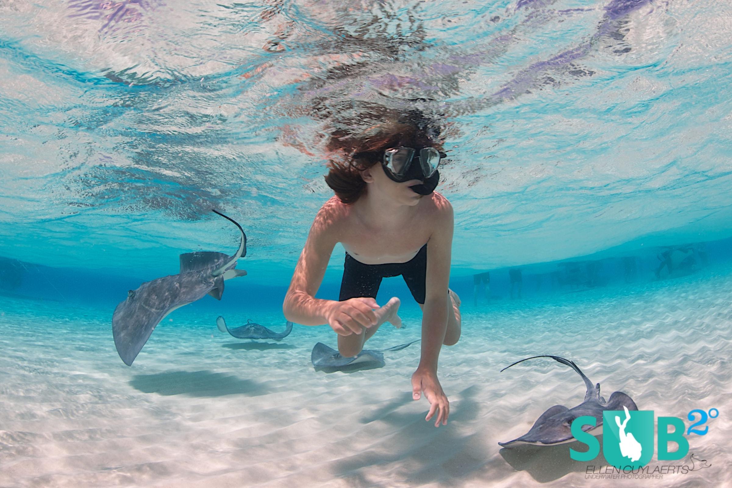 Stingrays do not attack humans with their stinger. When in the water avoid stepping on one while doing the stingray shuffle, even better: just snorkel!