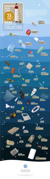 一些关于海洋废弃物的残酷现实