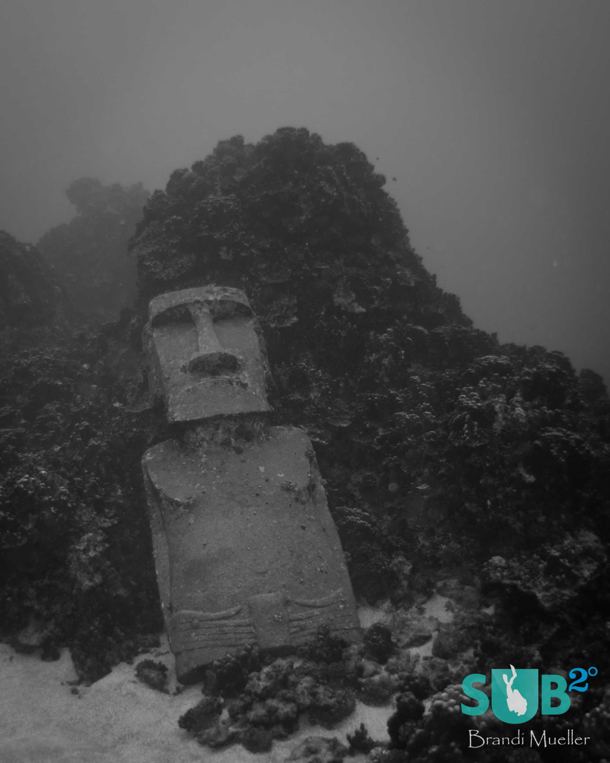 Easter Island is home to the mysterious moai - human-like carved statues.  Divers can visit one underwater.