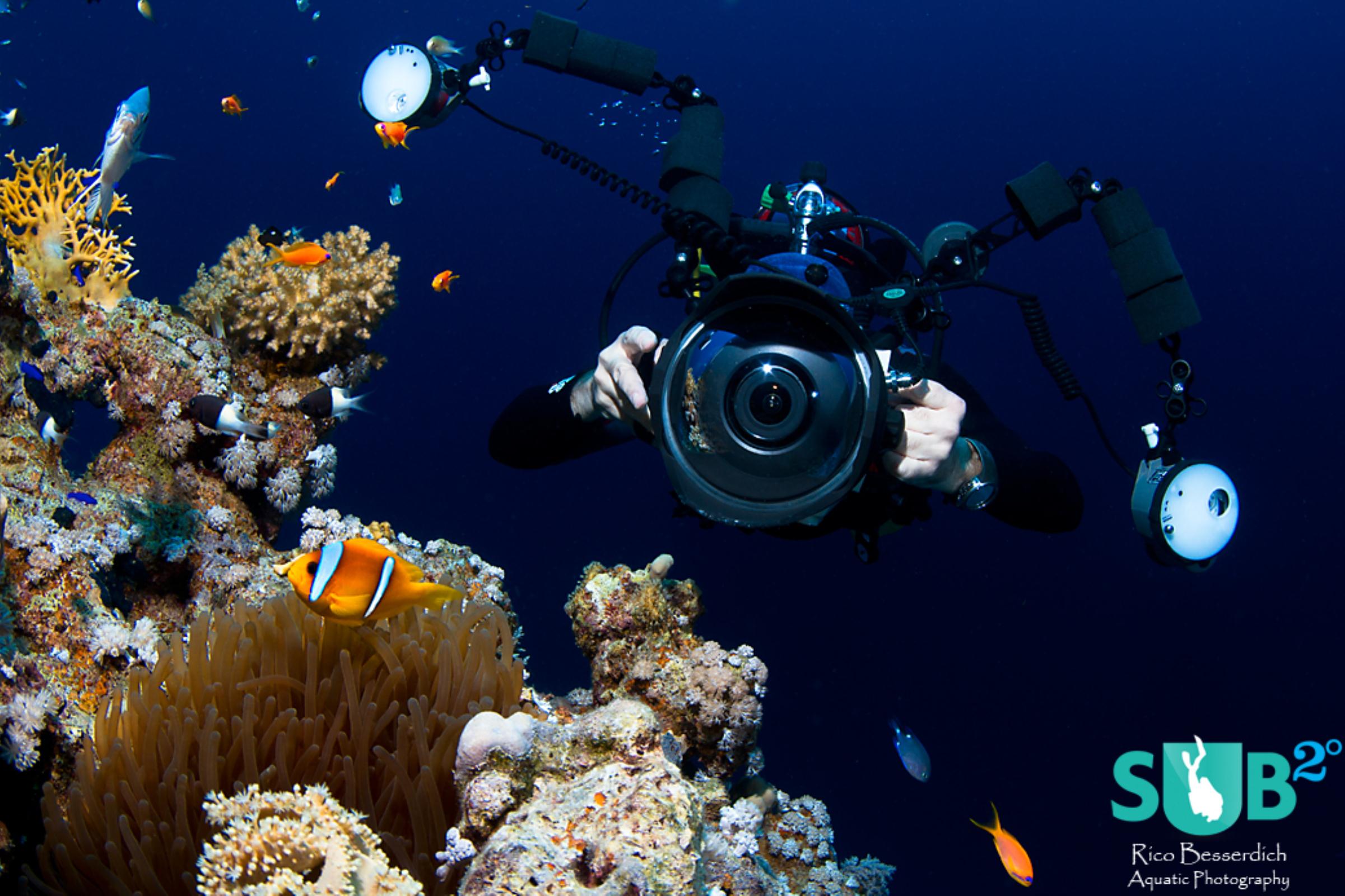 Wide-angle scene. Getting close ( 30 cm distance to the anemone-fish here ) boosts colours & tension.